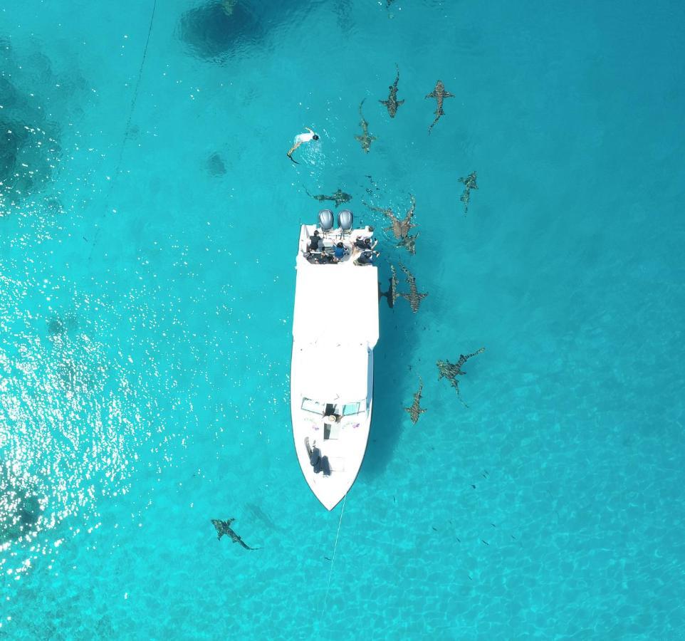 Ecoboo Maldives Hotell Thinadhoo  Exteriör bild